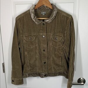 J Jill olive green corduroy with velvet trim jacket size Large Petite